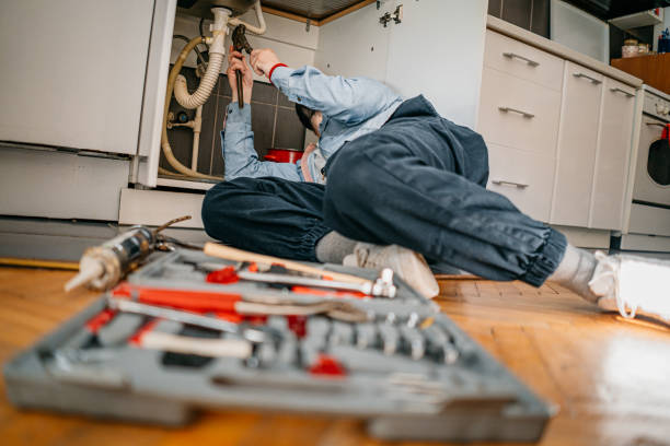 Best Residential Plumbing Services  in Princeton, MO