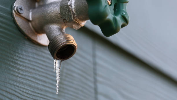 Best Clogged Drain Plumber  in Princeton, MO